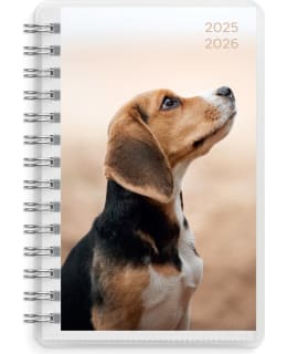 BURDE COMPACT PETS 25-26 KALENTERI Main Image