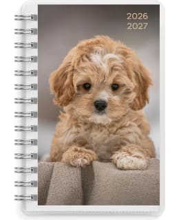 BURDE KALENTERI COMPACT PETS 2027 Main Image