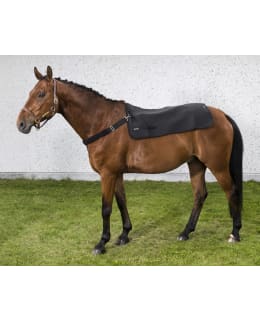 BACK ON TRACK MUSTA 100X100CM SELÄNLÄMMI Main Image