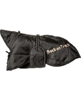 BACK ON TRACK MU 21 KOIRAN TOPPATAKKI Main Image