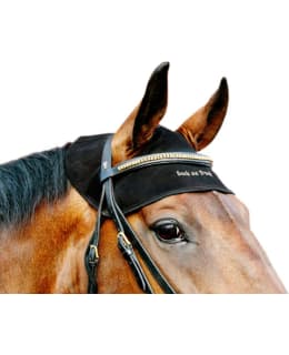 BOT MUSTA S/M HEVOSEN NISKASUOJA Main Image