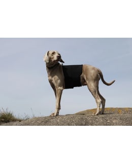 BOT M KOIRAN SELKÄSUOJA Main Image