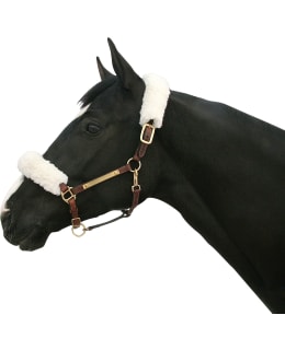 BOT VALKOISET HEVOSEN RIIMUNPEHMUSTEET Main Image