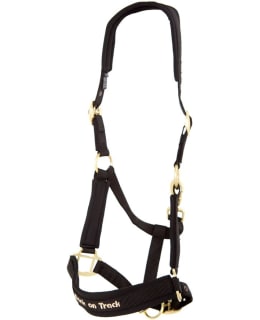 BACK ON TRACK RIIMU WERANO MUSTA FULL Main Image