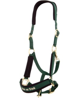 BACK ON TRACK RIIMU WERANO VIHREÄ PONY Main Image