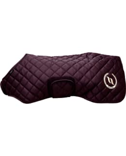 BOT NIGHTS COLLECTION KOIRANT. VIININP40 Main Image