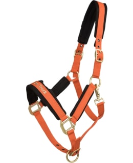 BACK ON TRACK WERANO COB/ORANSSI RIIMU Main Image