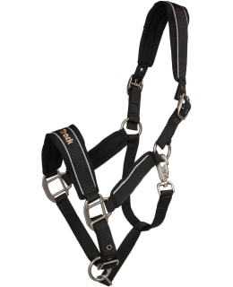 Halter Werano Main Image