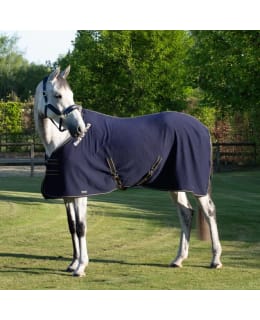 BACK ON TRACK 155 QUICK COOLER RUG Main Image