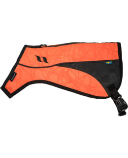 POINT M/ORANSSI KOIRAN HUOMIOLIIVI Main Image