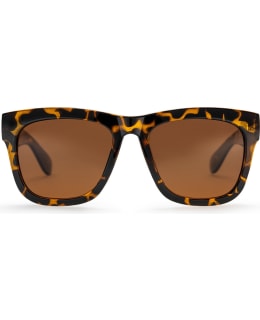 CHPO 16131HC-HAZE M.SUNGLASSES Main Image