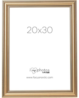 FOCUS 5100000165 TANGO CLASSIC GOLD 20X3 Main Image