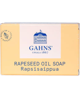 GAHNS 100 G RAPSISAIPPUA Main Image