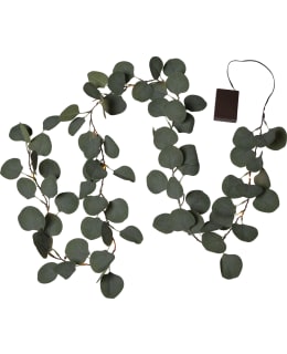 STAR EUCALYPTUS 80CM KÖYNNÖS LEDVALOIL Main Image