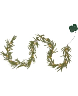 STAR THUJA KÖYNNÖS Main Image