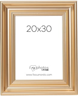 FOCUS 106520 CHARLESTON GOLD 20X30 Main Image