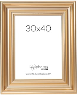 FOCUS 106522 CHARLESTON GOLD 30X40 Main Image