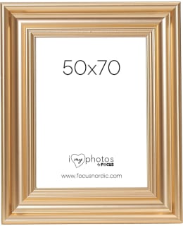 FOCUS 107842 CHARLESTON GOLD 50X70 Main Image