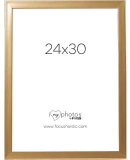 FOCUS 111260 POP GOLD 24X30 Main Image