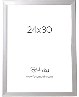 FOCUS 111265 POP SILVER 24X30 Main Image