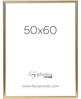 FOCUS 114229 CAN-CAN SHINY GOLD 50X60 Main Image