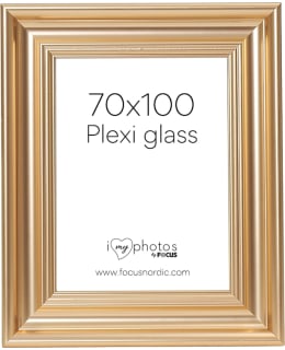 FOCUS 114408 CHARLESTON GOLD 70X100 PLEX Main Image