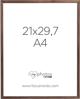 FOCUS 120940 SOUL WALNUT VENEER 21X29,7 Main Image