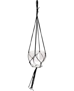 Gilbert lasiamppeli Main Image