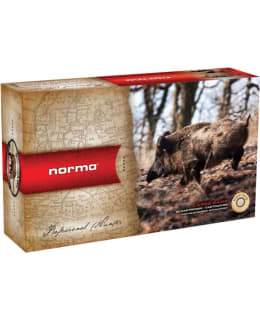 NORMA 308 WIN 11G TIPSTRIKE PATRUUNA Main Image