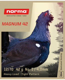 NORMA MAGNUM 42 12/70 1 42G 10 Main Image