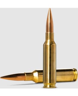 NORMA 6.5 CREEDM GOLDEN TARGET 9.27G 20 Main Image