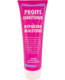 PROFFS REPAIRING MOIST 250ML HOITOAINE Main Image