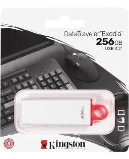 KINGSTON EXODIA 256GB WHT USB3.2 MUISTIT Main Image