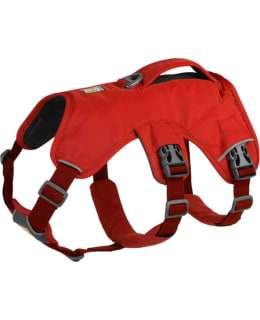 RUFFWEAR WEB MASTER L/XL R.SUMAC HARNESS Main Image