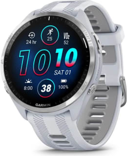 GARMIN FORERUNNER 965 WH/P.G S.WATCH Main Image
