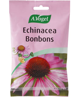 A.VOGEL ECHINACEA 75 G KURKKUPASTILLI Main Image