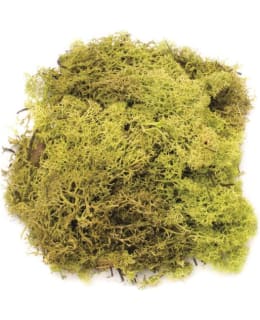 GLOREX V.VIHR 50G SAMMAL Main Image