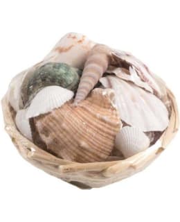 GLOREX 10CM SIMPUKKASETTI 150G Main Image