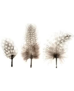 GLOREX DECO 15 KPL HÖYHENET Main Image