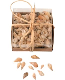 GLOREX SHELL MIX SIMPUKKASETTI 90G Main Image