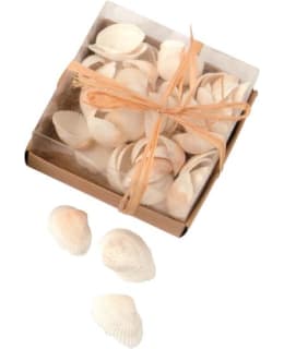 GLOREX SHELL MIX SIMPUKKASETTI 110G Main Image