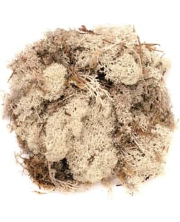 GLOREX NATURAL 50G SAMMAL Main Image