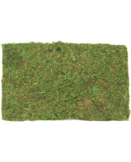 GLOREX 30G SAMMAL Main Image