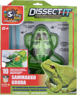 DISSECT IT LIMA SAMMAKKO Main Image