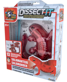 DISSECT IT LIMA SALAMANTERI Main Image
