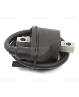 IGNITION COIL POLARIS Main Image