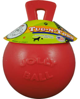 JOLLY TUG-N-TOSS 20CM PUN. PALLO Main Image