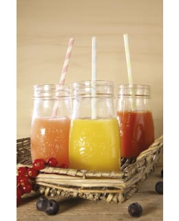 QS 0,4L SMOOTHIE/KASTIKEPULLO KANNELLA Main Image