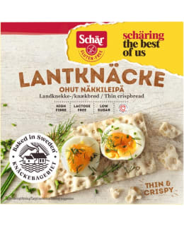 SCHÄR GLUTEENITON 230 G OHUT NÄKKILEIPÄ Main Image