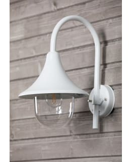 NOOR TRUMPETTI ECONOMIC VAL ULKOSEINÄVAL Main Image